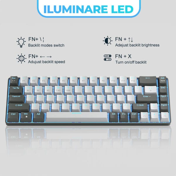 1720114353 Tastatura Mecanica Gaming Timebox 60 iluminare RGB 68 taste PBT Pudding cu cablu Type C blue swtich 7 - Timebox