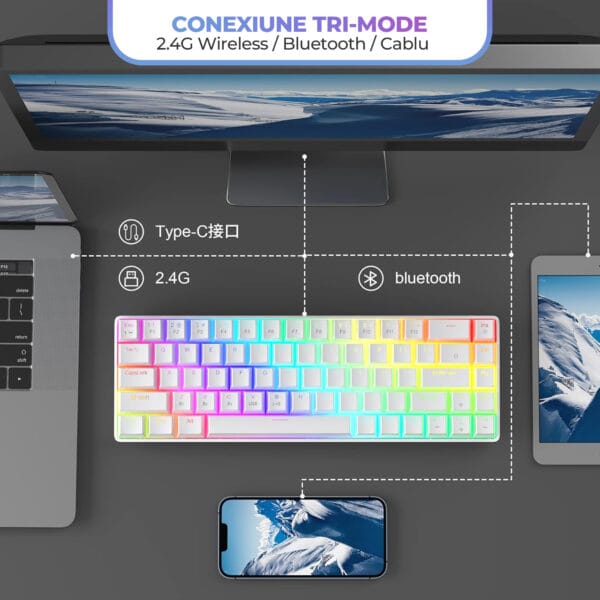 Tastatura Mecanica Gaming Timebox, Wireless, Layout 60%, Lumini LED, 68 taste PBT Pudding Keycaps, Bluetooth, 2.4G, cablu Type-C, Red Swtich, Portabila, Compaatibila Windows, Mac, Alb 3 - Timebox Tastatura Mecanica Gaming Timebox 60 iluminare RGB 68 taste PBT Pudding cu cablu Type C Red Swtich Portabila Alb 9 - Timebox