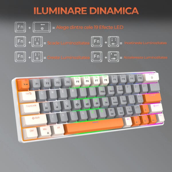 Tastatura Mecanica Gaming Timebox 60 iluminare LED 63 taste cu cablu Type C Red Swtich Portabila 3 - Timebox